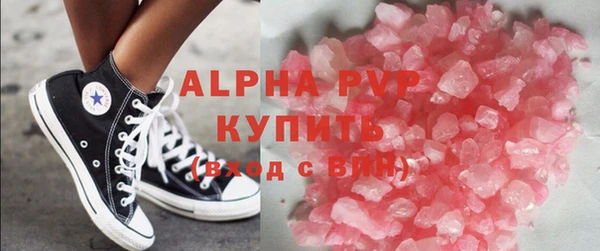 спиды Бикин