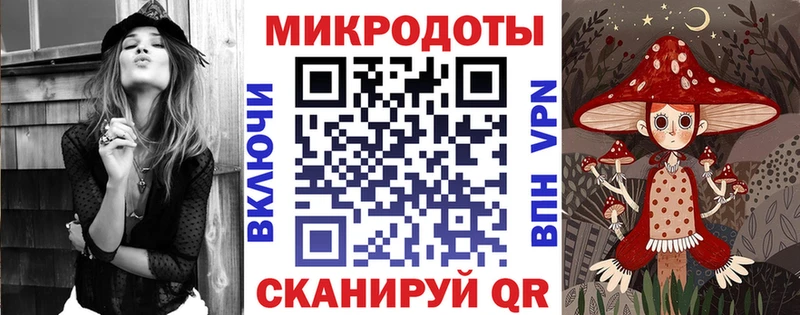 Галлюциногенные грибы Psilocybine cubensis Задонск